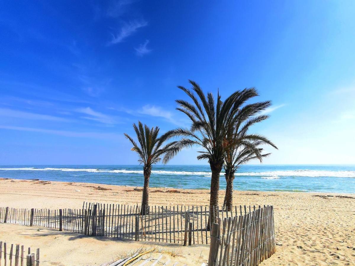 Appartement Soleil Levant - Acces Direct Plage - Terrasse - Une Chambre - Proche Commerces Le Barcarès Eksteriør bilde
